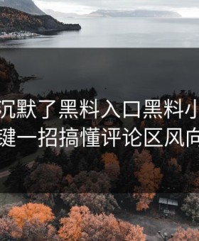 看完我沉默了黑料入口黑料小众却关键一招搞懂评论区风向