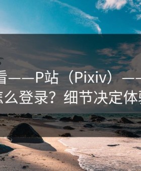 新手必看——P站（Pixiv）——网页版怎么登录？细节决定体验