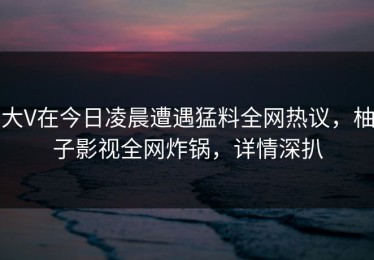 大V在今日凌晨遭遇猛料全网热议，柚子影视全网炸锅，详情深扒
