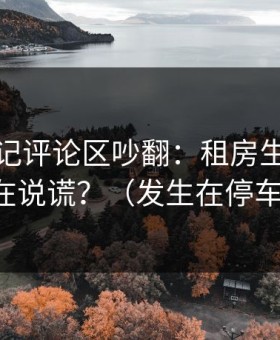 糖心日记评论区吵翻：租房生活到底谁在说谎？（发生在停车场）