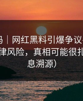 你敢信吗｜网红黑料引爆争议——最危险的法律风险，真相可能很扎心（信息溯源）