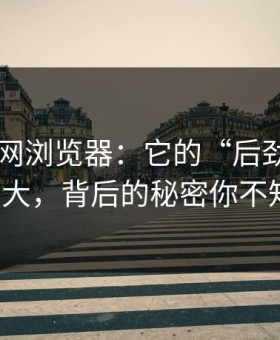 揭秘91网浏览器：它的“后劲”竟如此强大，背后的秘密你不知道！