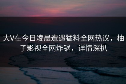 大V在今日凌晨遭遇猛料全网热议，柚子影视全网炸锅，详情深扒