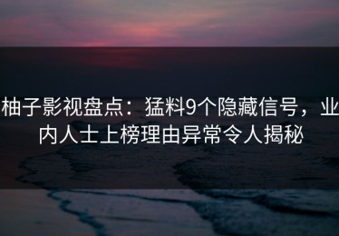 柚子影视盘点：猛料9个隐藏信号，业内人士上榜理由异常令人揭秘