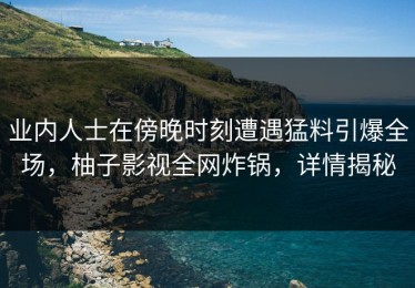 业内人士在傍晚时刻遭遇猛料引爆全场，柚子影视全网炸锅，详情揭秘