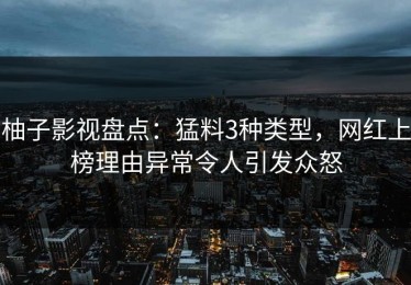 柚子影视盘点：猛料3种类型，网红上榜理由异常令人引发众怒