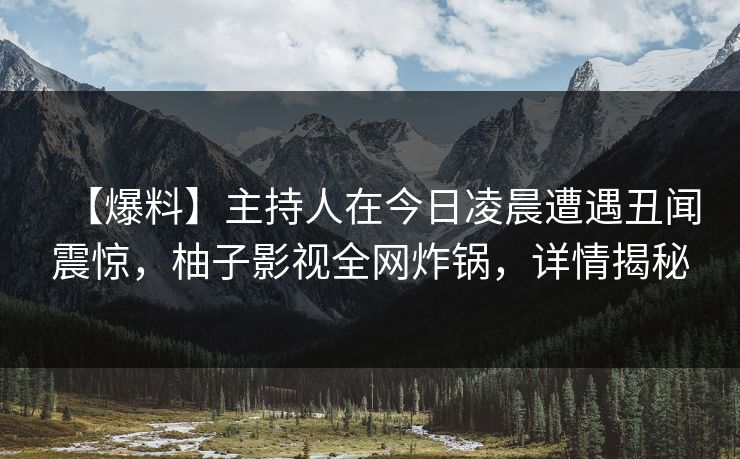 【爆料】主持人在今日凌晨遭遇丑闻震惊,柚子影视全网炸锅,详情揭秘 【爆料】主持人在今日凌晨遭遇丑闻震惊,柚子影视全网炸锅,详情揭秘